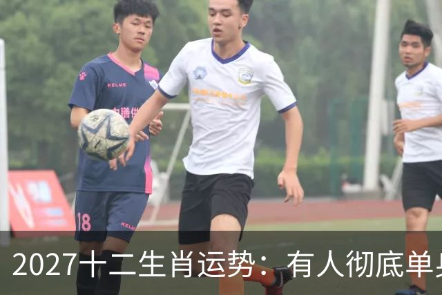 2027十二生肖运势：有人彻底单身，有人乘风而起，有人要防住小人